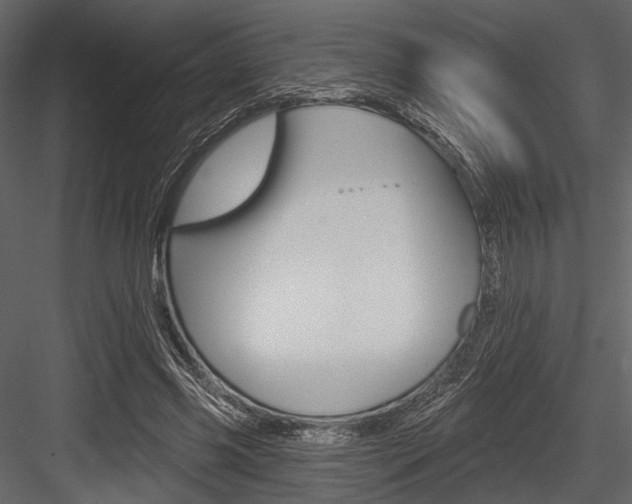 X0000084540541200702230911