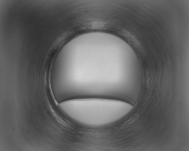 X0000084540542200702230911
