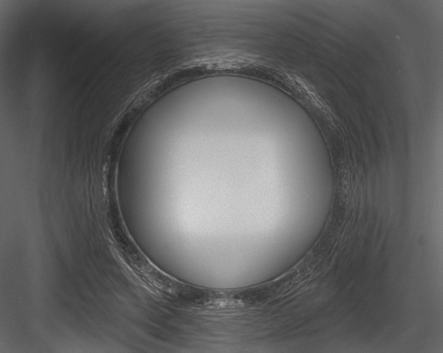 X0000084540543200702230911