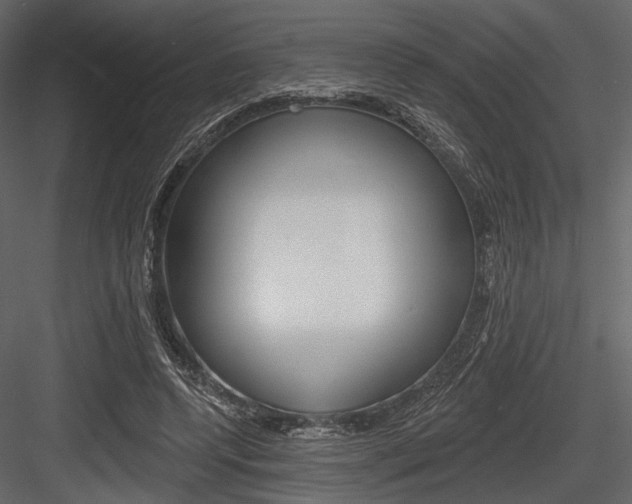 X0000084540544200702230911