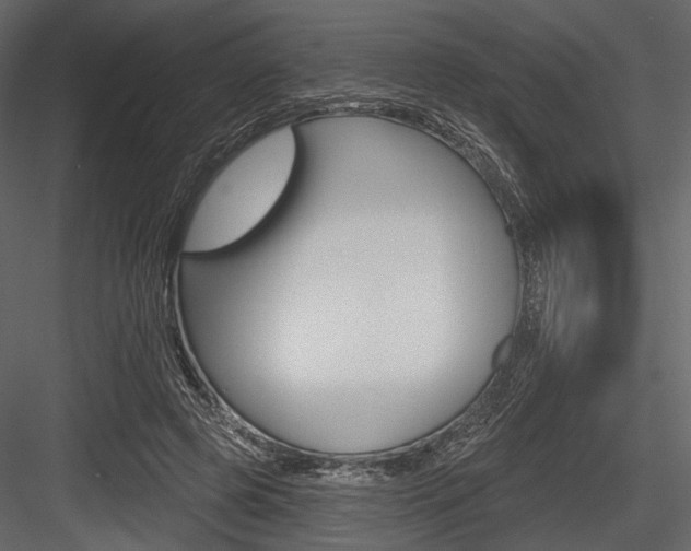 X0000084540545200702230911