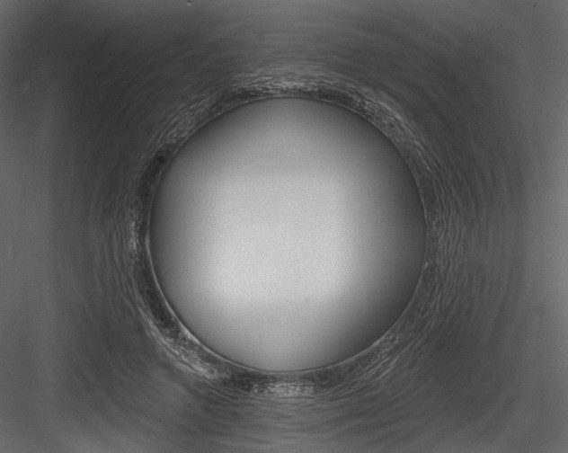 X0000084540546200702230911