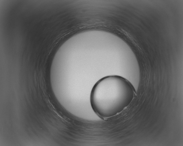 X0000084540548200702230911