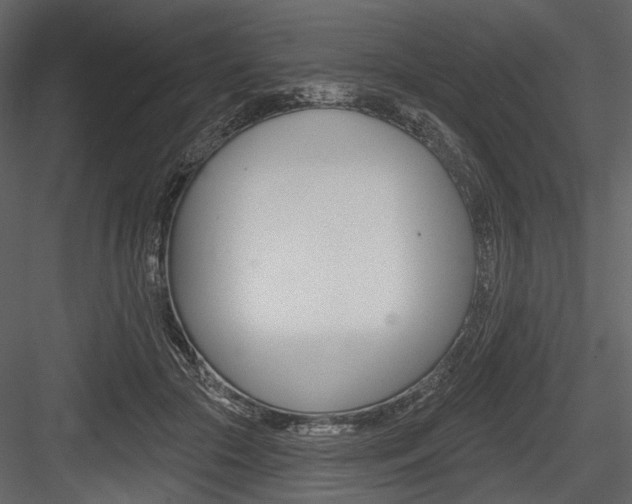 X0000084540553200702230911