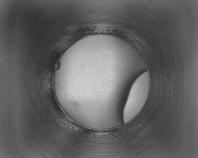 X0000084540554200702230911