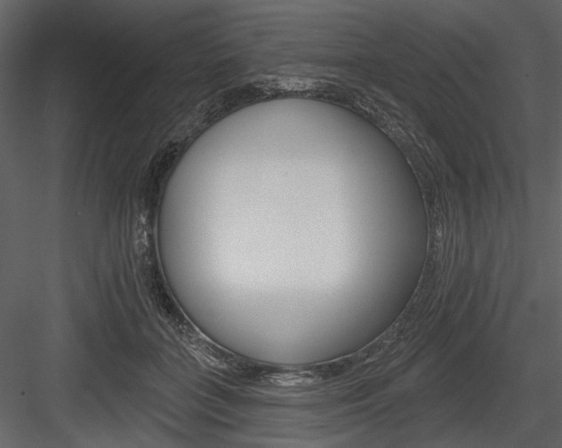 X0000084540555200702230911