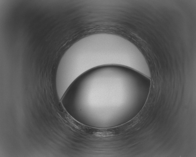 X0000084540556200702230911