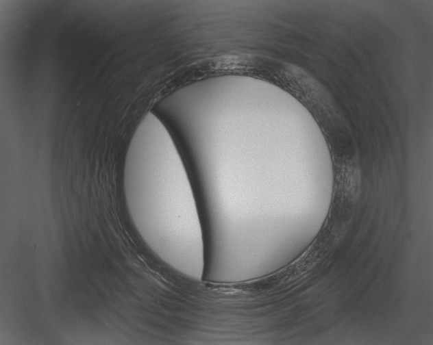 X0000084540557200702230911