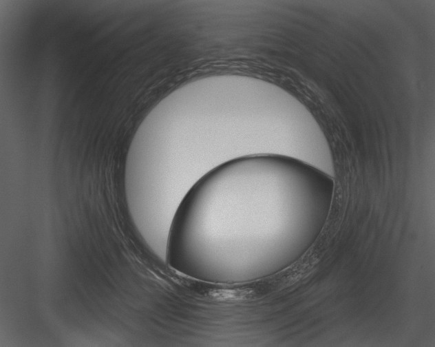 X0000084540558200702230911