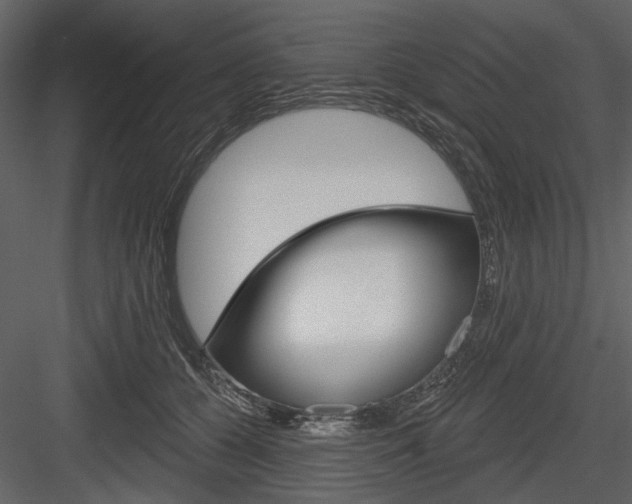 X0000084540560200702230911