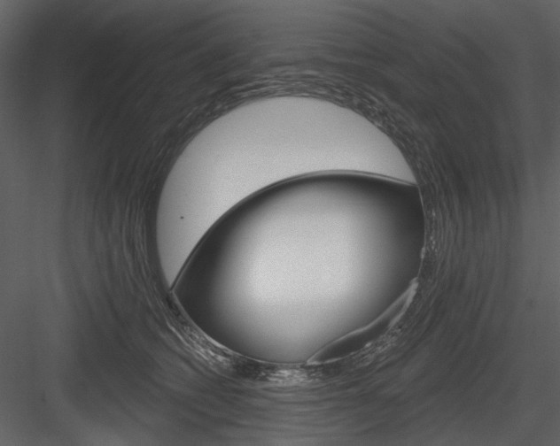 X0000084540562200702230911