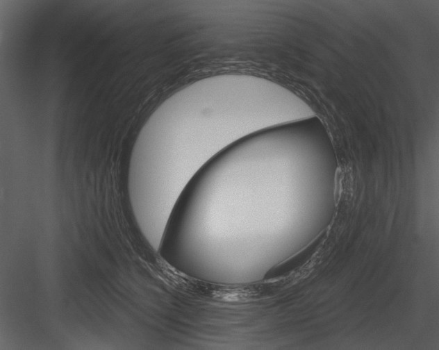 X0000084540564200702230911