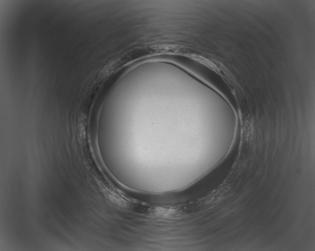 X0000084540570200702230911