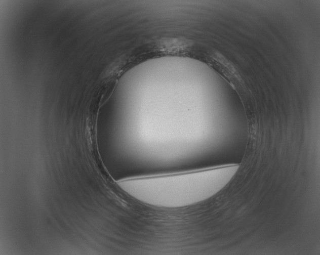 X0000084540572200702230911