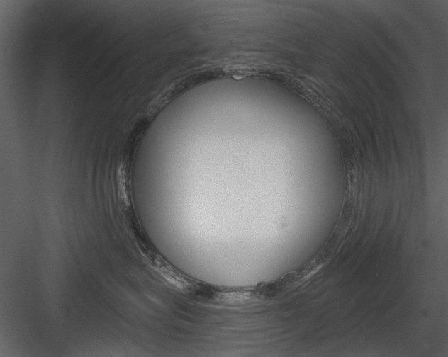 X0000084540575200702230912
