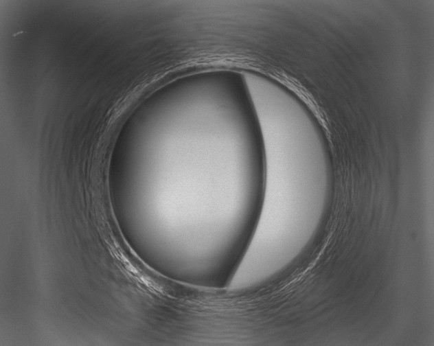 X0000084540577200702230911