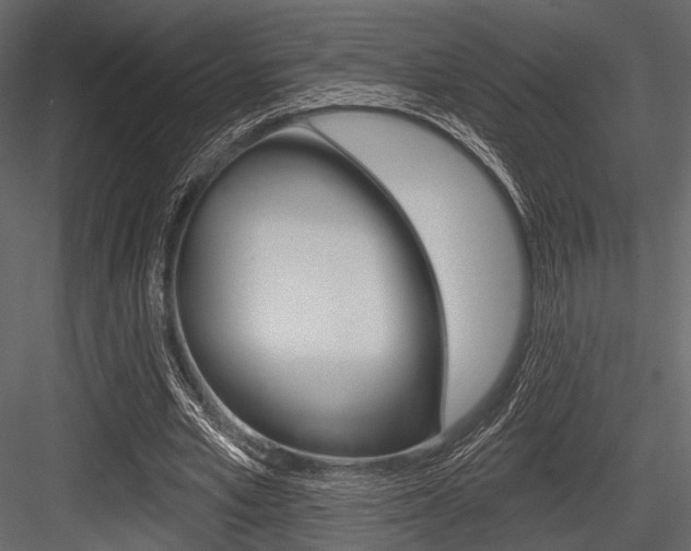 X0000084540581200702230911