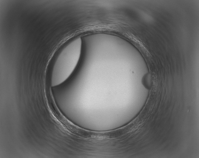 X0000084540582200702230911