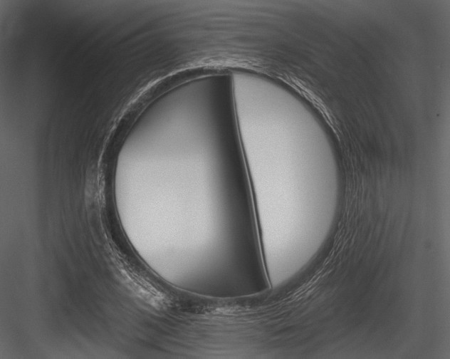 X0000084540584200702230911