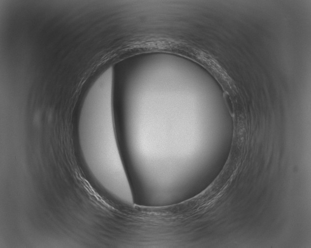 X0000084540585200702230911