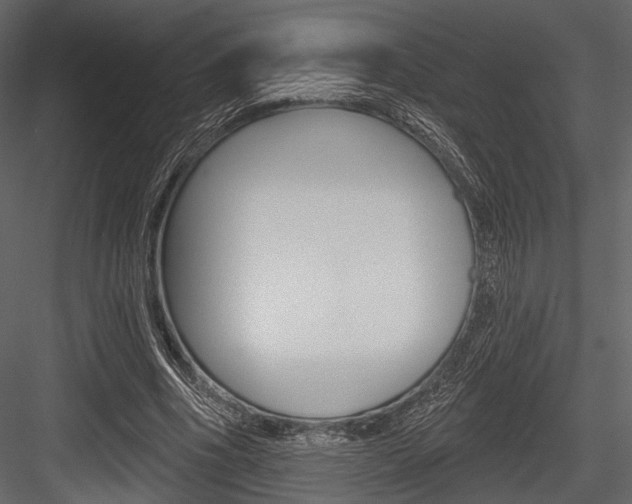 X0000084540586200702230911