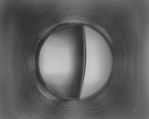 X0000084540588200702230910