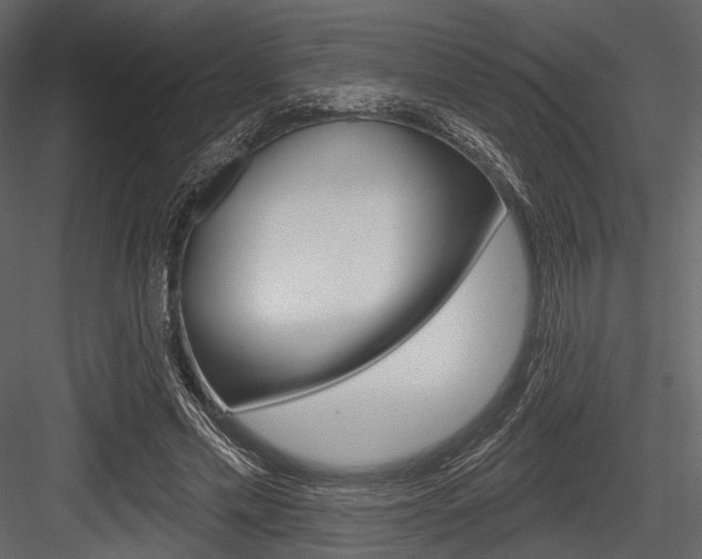 X0000084540589200702230910