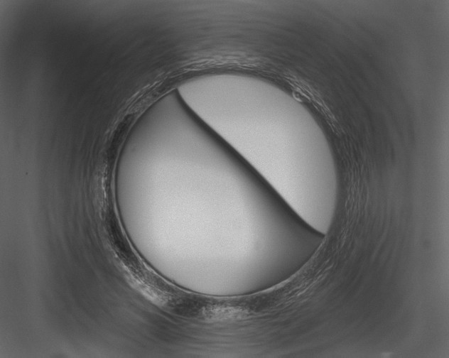 X0000084540590200702230910