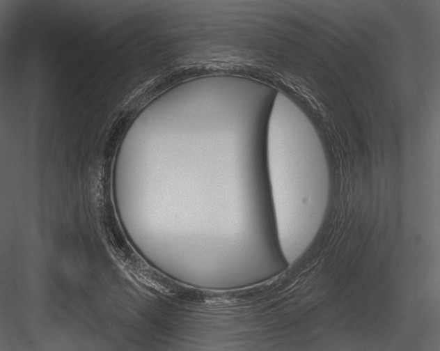 X0000084540591200702230910