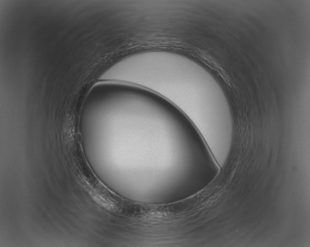 X0000084540593200702230910