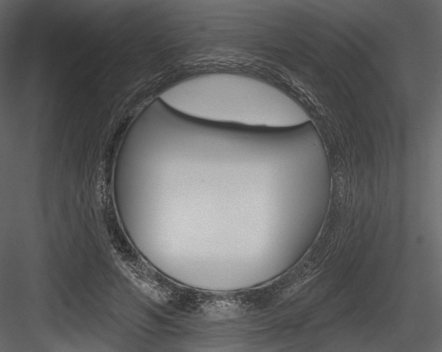 X0000084540594200702230910