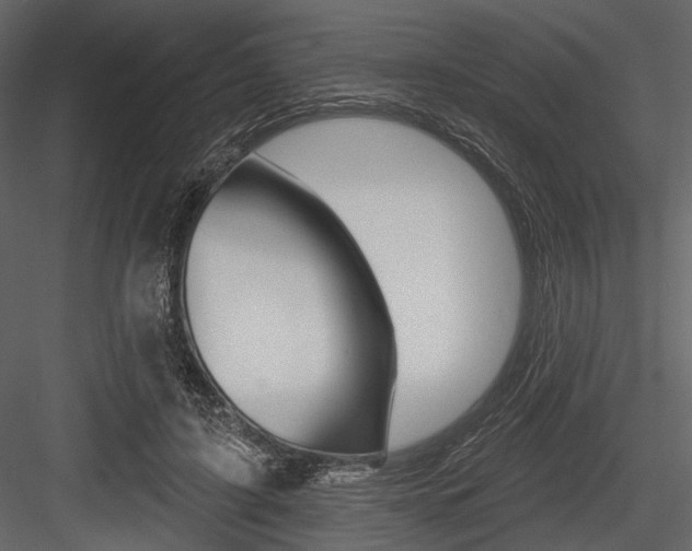 X0000084540595200702230910