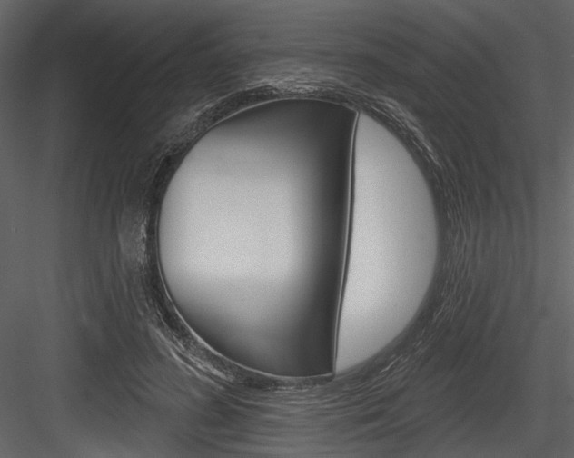X0000084540596200702230910