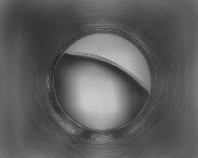 X0000084540597200702230910