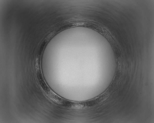 X0000084540598200702230910