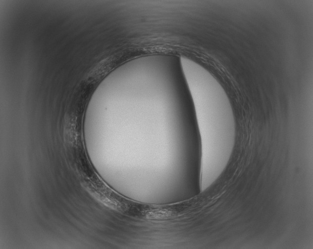 X0000084540599200702230910