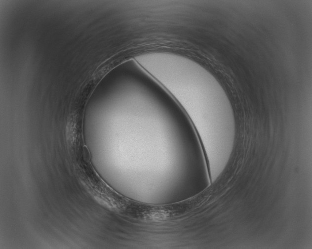 X0000084540600200702230910