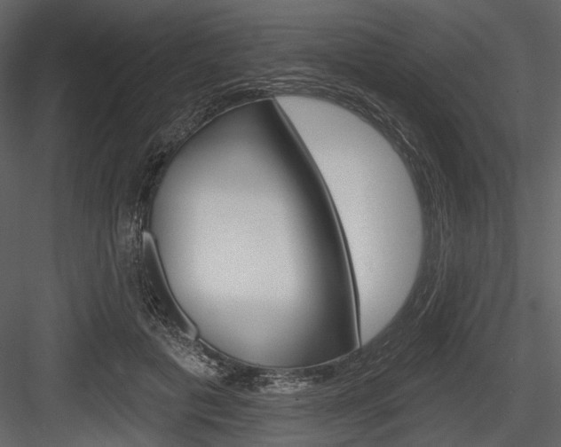 X0000084540601200702230910