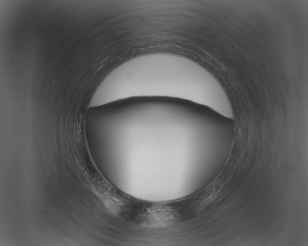 X0000084540603200702230910
