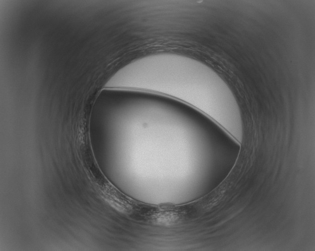 X0000084540604200702230910