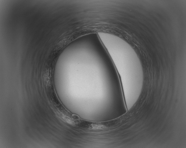 X0000084540605200702230910
