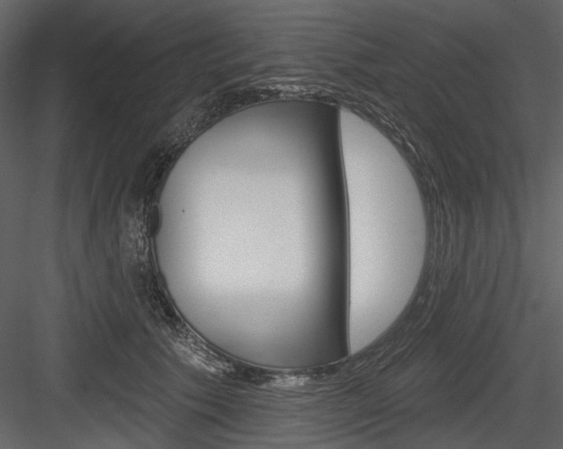 X0000084540609200702230910