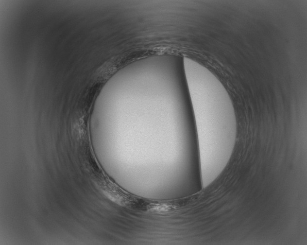 X0000084540611200702230910