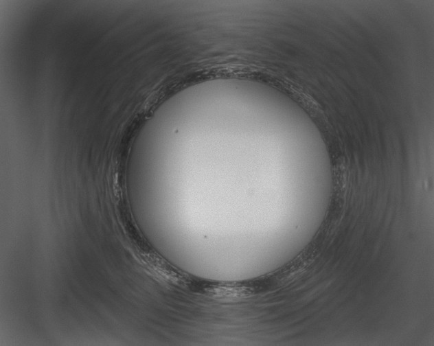 X0000084540615200702230910