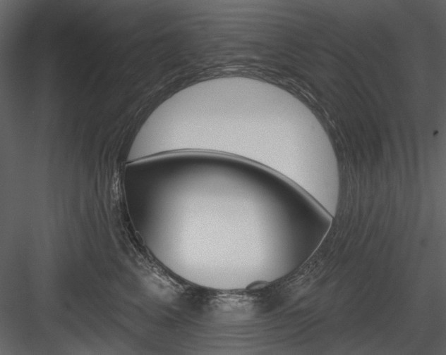 X0000084540617200702230910