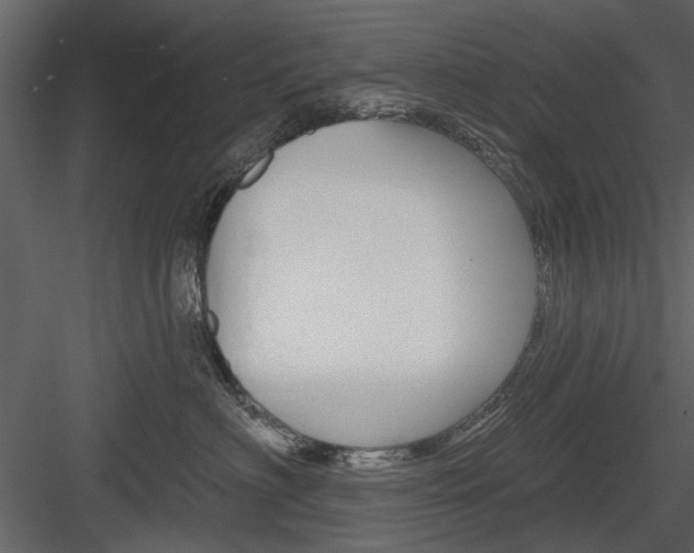 X0000084540622200702230910
