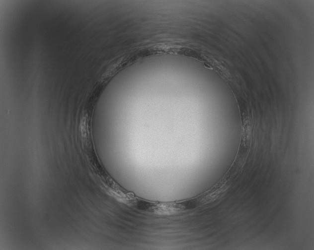 X0000084540623200702230910
