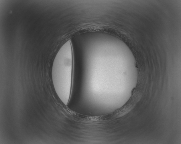X0000084540624200702230910