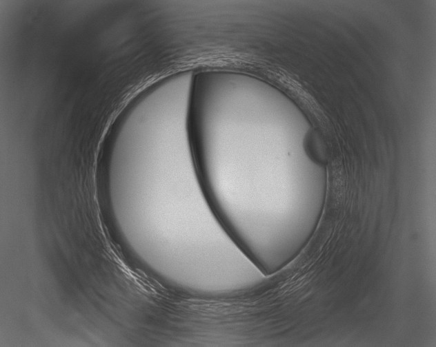 X0000084540626200702230909