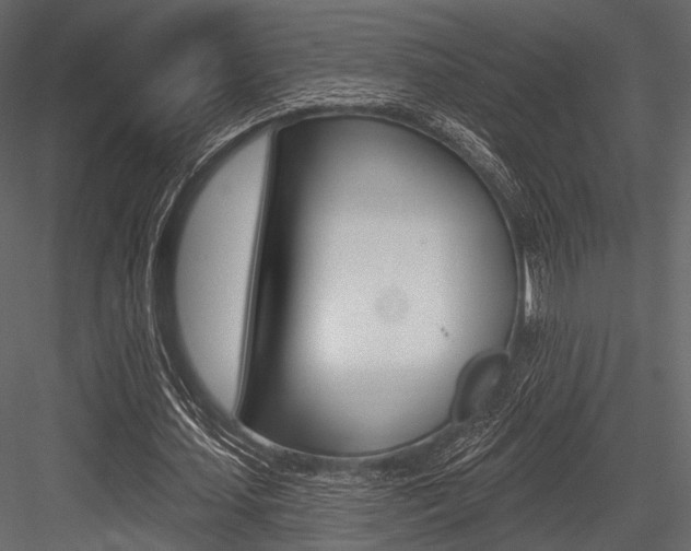 X0000084540627200702230909